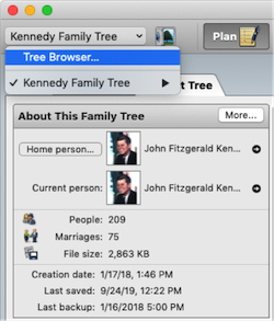 Tree Browser window