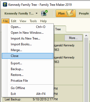 choose Close from the File menu
