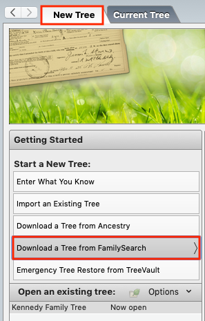 New Tree tab of FamilySearch
