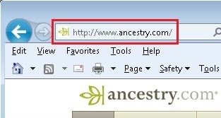 Website vs. Program